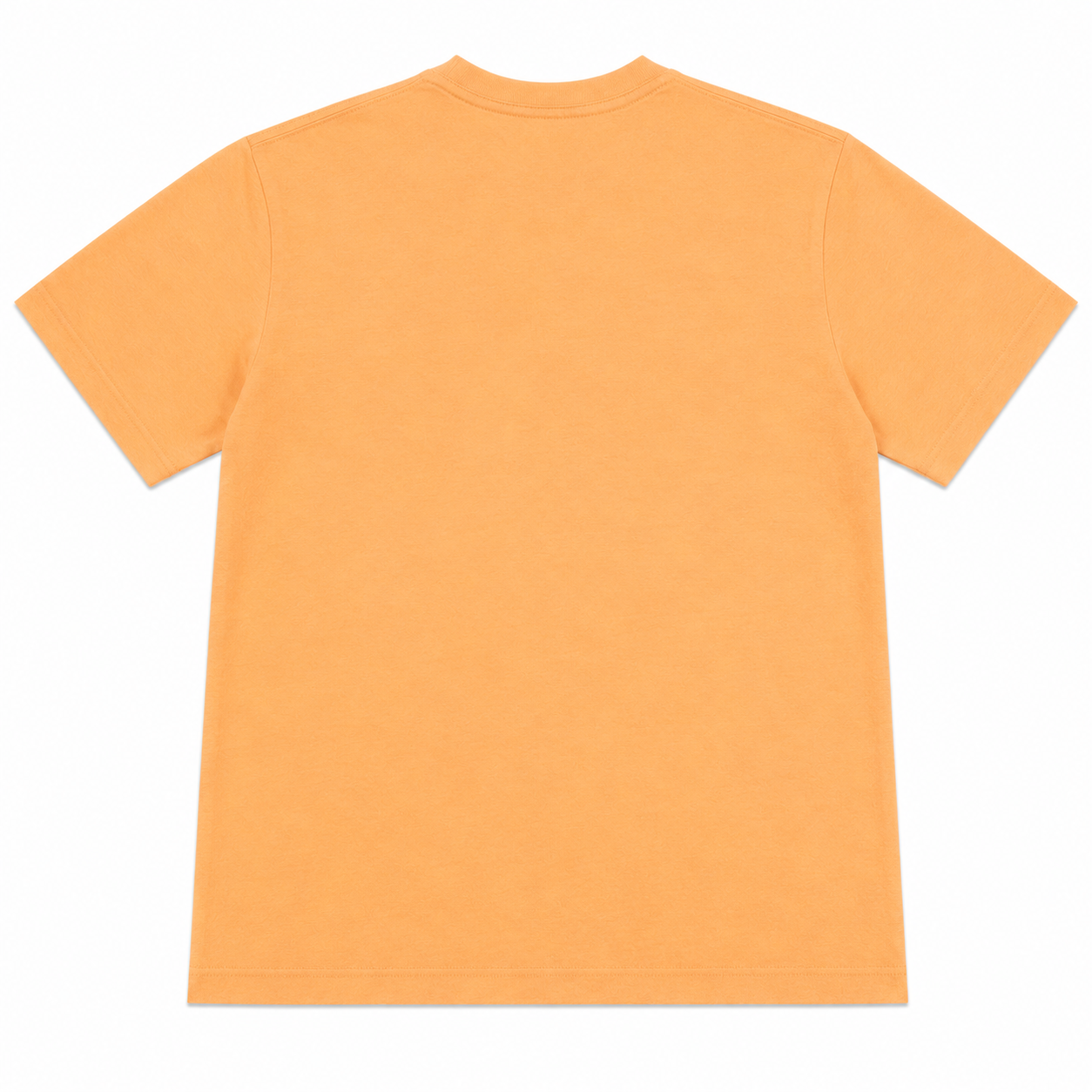 Vintage Wash Tee Shirt- Peach Mineral